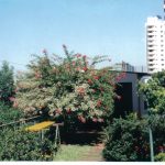 cond05